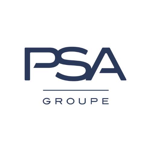 PISTON 231911 OEM PSA