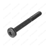 HEXALOBULAR DRIVING SCREW 0736101171 ZF Friedrichshafen AG